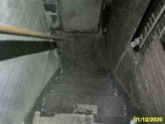 Debris_Relocation_After__6 (2).jpg